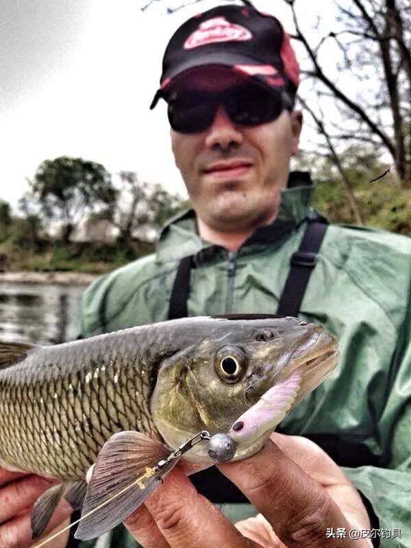 贝克力钓翘嘴软饵,贝克力诱鱼效果