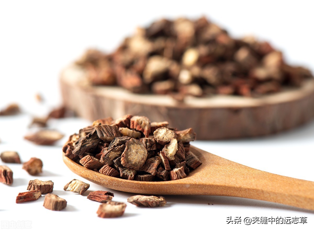 中医骨质疏松吃什么中草药,中医骨质疏松中药调理方法