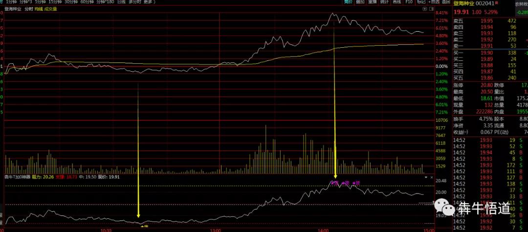 t0战法从入门到精通视频,股票t+0操作演示