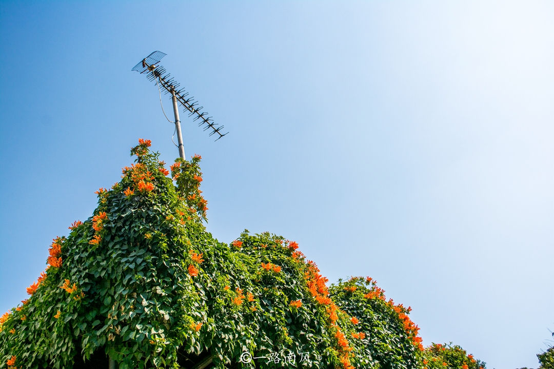 香港风景打卡小众,香港风景南丫岛
