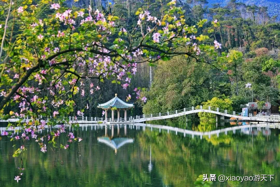 国家A级景区门票政策,全省104家a级旅游景区全部免票