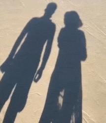 一进门就看见小蜜蜂在追着神奇女侠