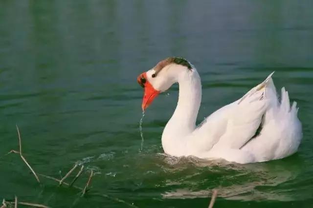 为什么就是离不开保亭？3大理由够不够