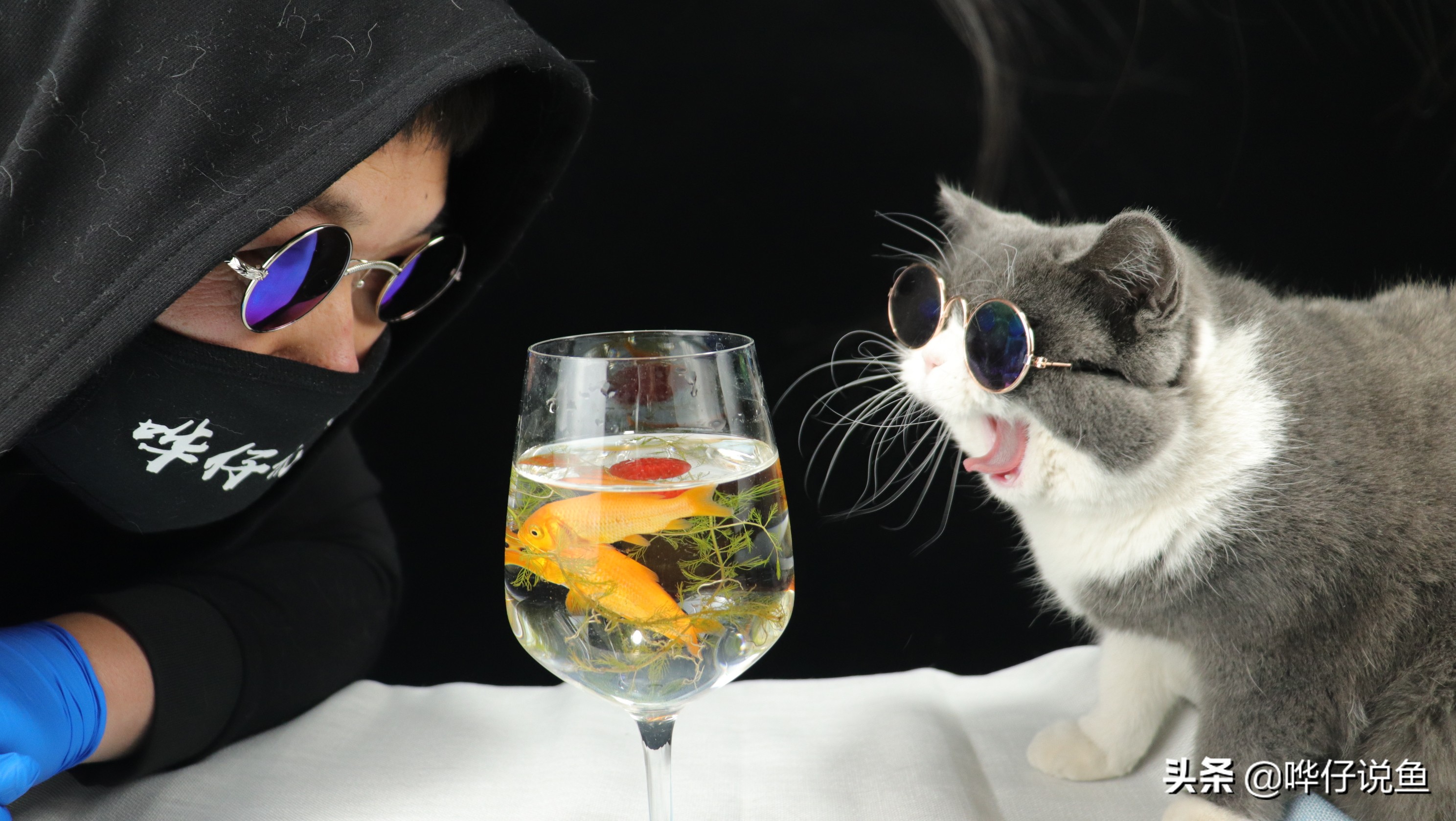 如何对鱼缸进行消毒,100升水的鱼缸用多少高锰酸钾消毒