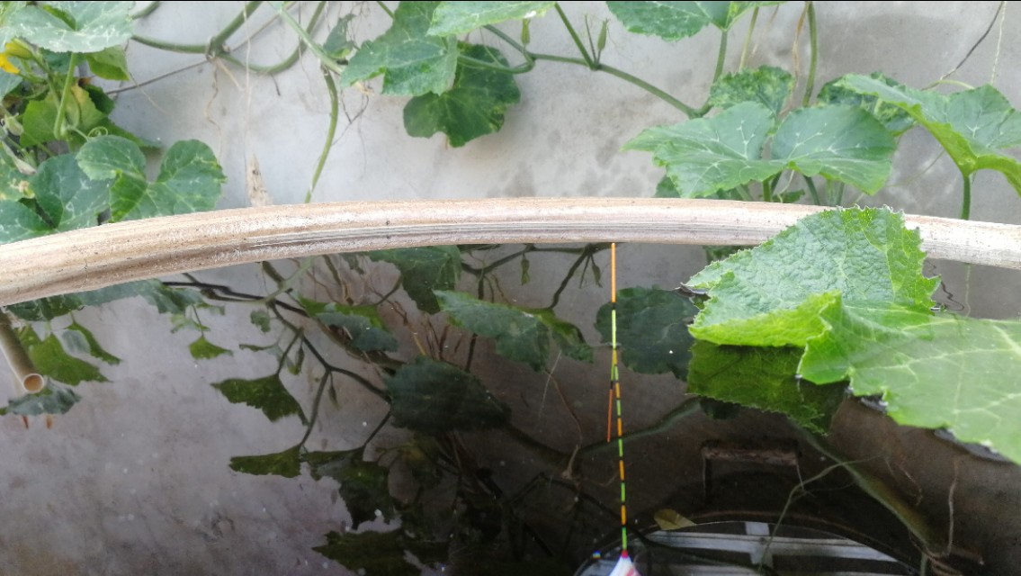 天气冷鱼口轻怎么调漂,新手钓友看完也能会的调漂技巧