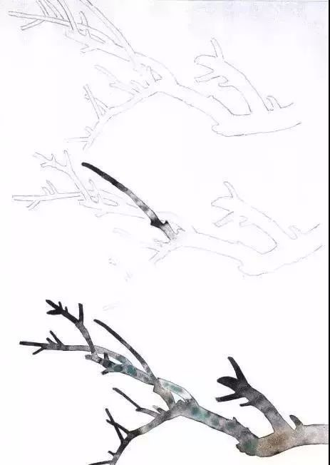 工笔梅花的分染上色教程,工笔梅花的10种设色技法收藏起来