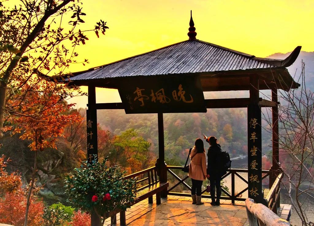 秋天赏枫叶好去处,赏红叶正当时