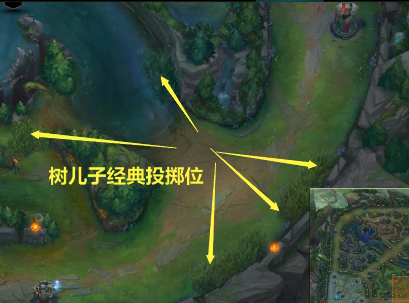 lol大树辅助好吗,大树新版本辅助出装