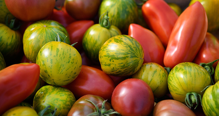 韩国食品是否受日本核辐射影响,韩国有没有受日本的核辐射影响