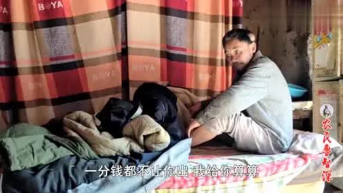 农民鲁智深的评论,农民鲁智深直播