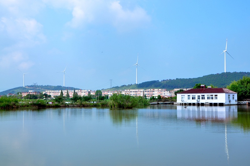 合肥的一个县级市，曾是安徽的地级市，如今富裕程度颇高