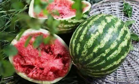 买西瓜时，别只会傻傻用手拍，多加2点，保证挑的西瓜沙又甜