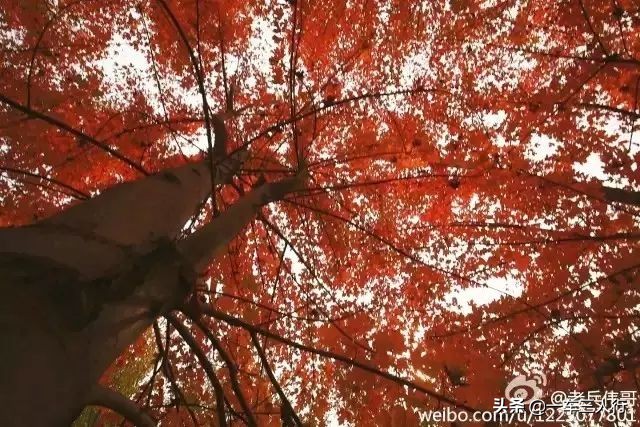 大连有一个蓝色的小城堡景点,大连秋季旅游景点攻略大全