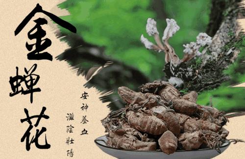 金蝉花中药怎么食用,药食同源话蝉花
