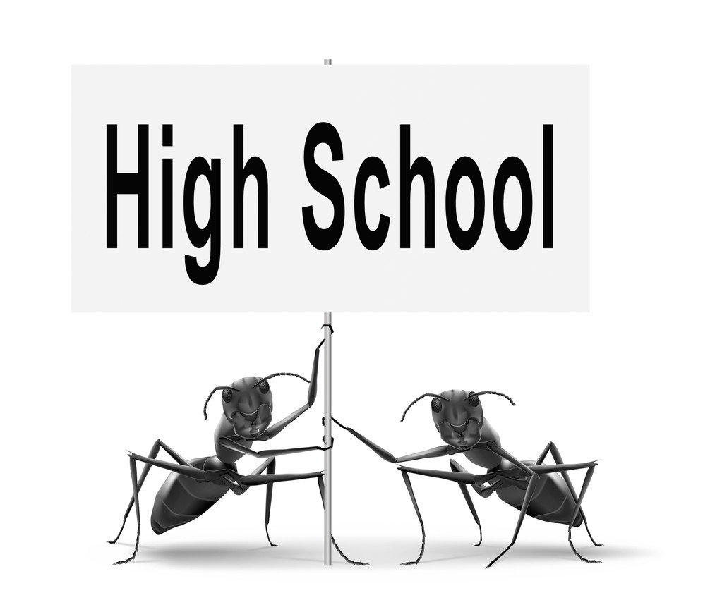 全日制定向研究生和非全日制区别,非全日制在职研究生定向与非定向