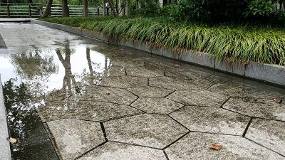 最高时速可达80公里小时,最高时速可达180公里以上