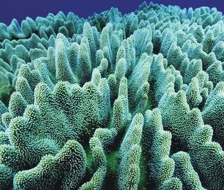 世界上最坚硬的装甲,世界上最坚硬的盔甲是哪一个