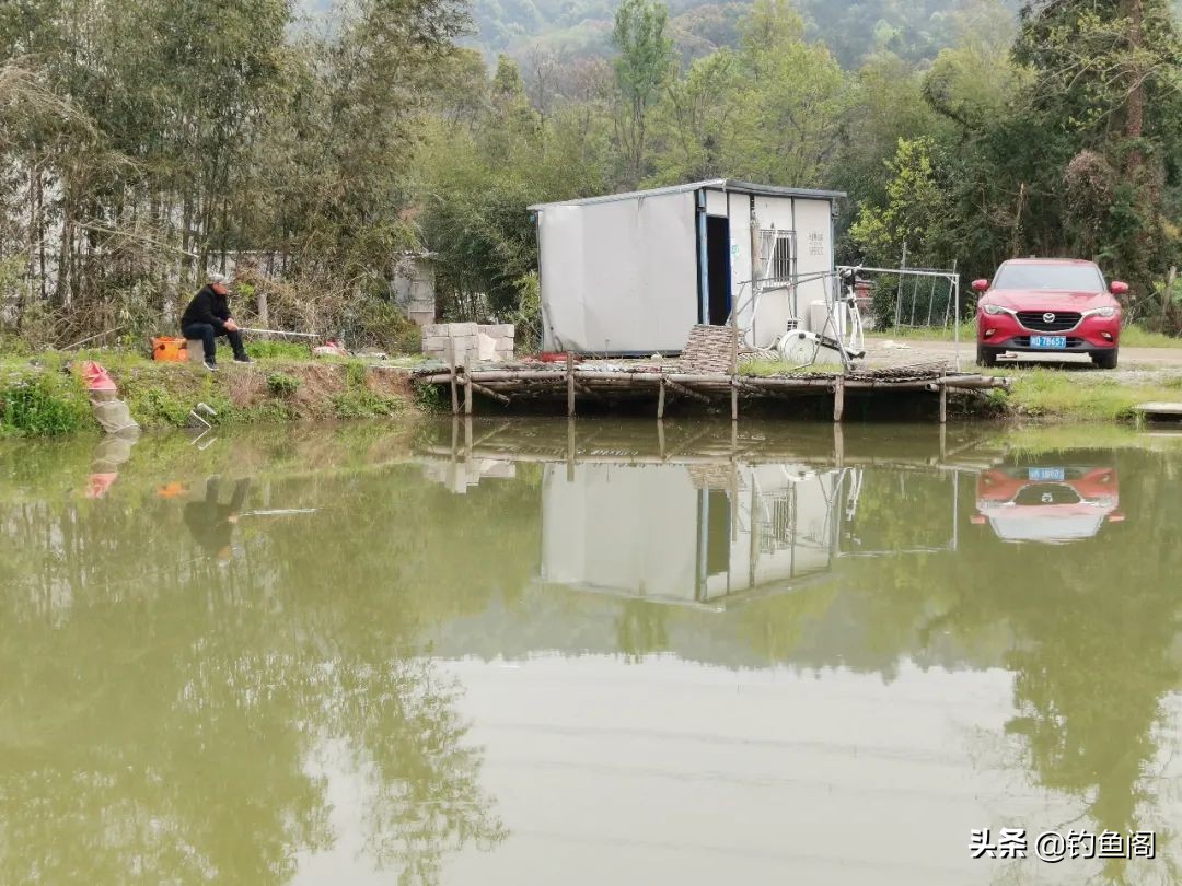 黑坑正钓总是不开口是什么原因,钓黑坑鲤鱼别人上鱼自己总是没口