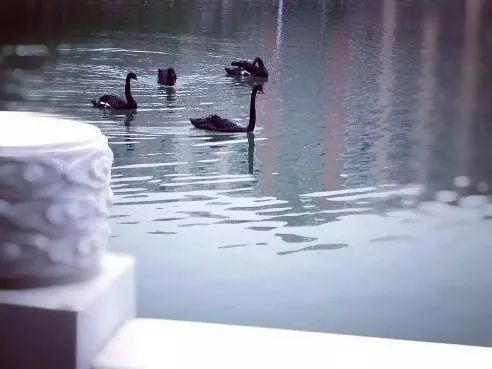 河南理工大学110周年直播,河南大学110周年生日快乐