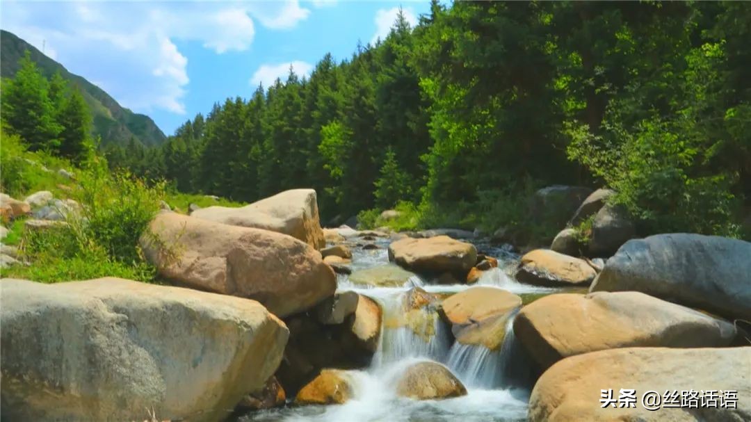春暖花开等你来赏花,春暖花开等你来赏花原唱视频