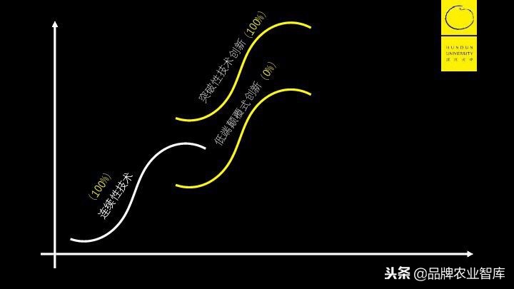 拼多多逻辑深度解析,拼多多深度剖析