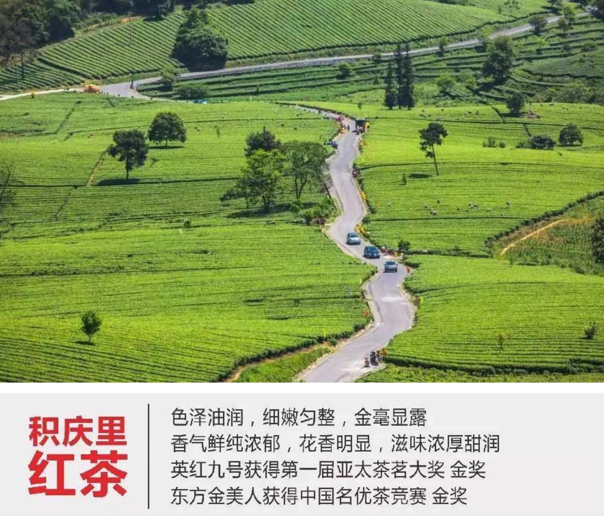 桂林小众风景美如画,广东小桂林秀丽景色