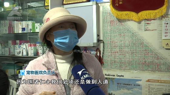 泰迪前腿残疾训练,残疾泰迪能收留吗