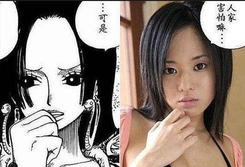 海贼王女帝的美照,海贼王解说整理篇章