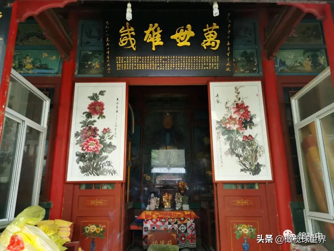 我和我的体育故事,我和运动会的故事