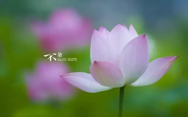 皮尺丈量和钢尺丈量区别,跳远成绩的皮尺正确丈量方法