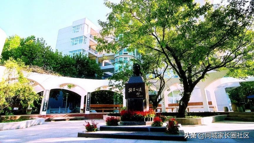 南师大附中树人中学怎么样,南师附中江宁分校树人比较