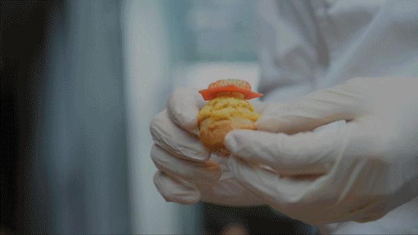 圣诞不再孤单,圣诞节不孤单