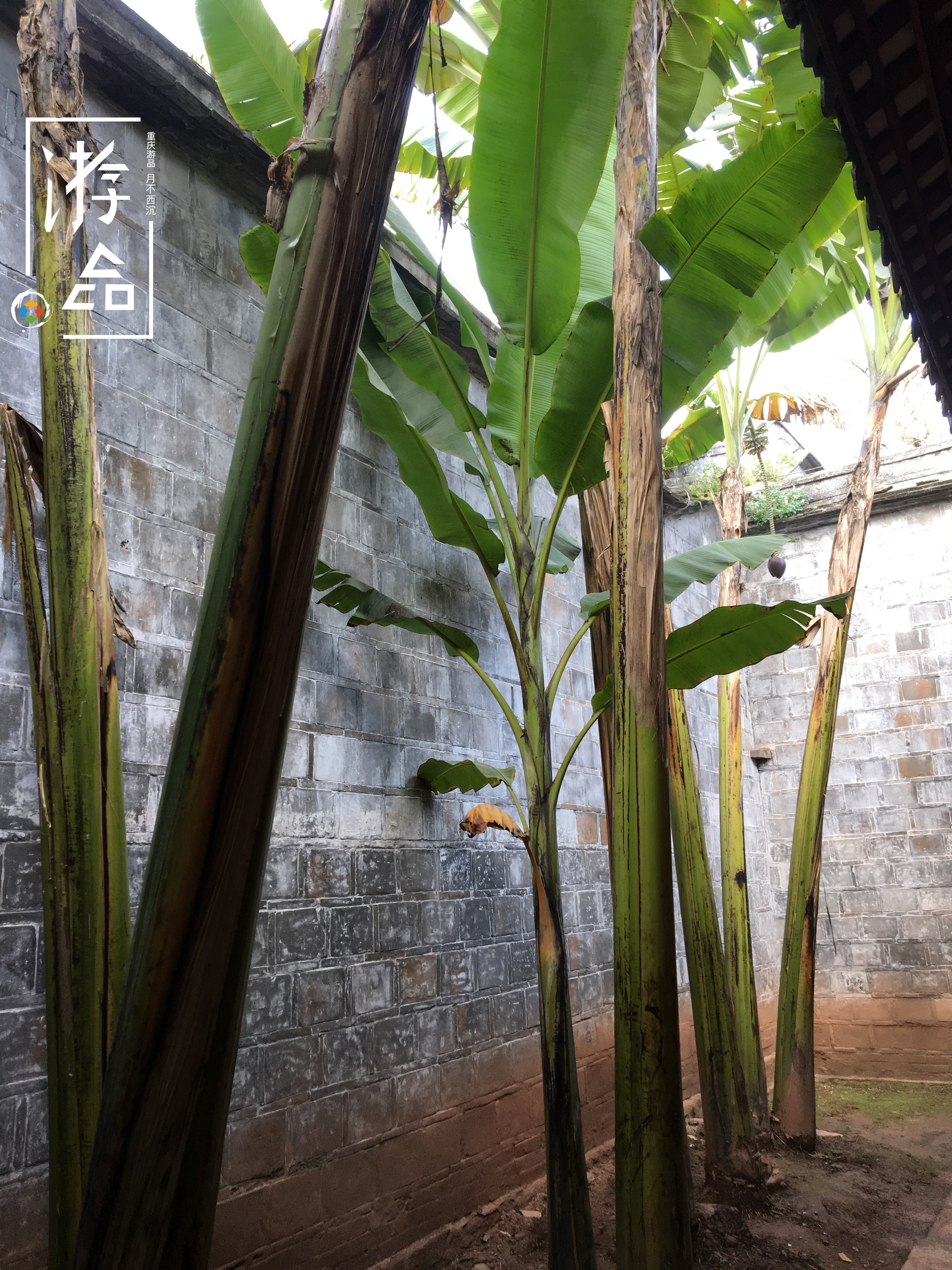 重庆潼南游玩的地方推荐,重庆潼南哪里比较好玩