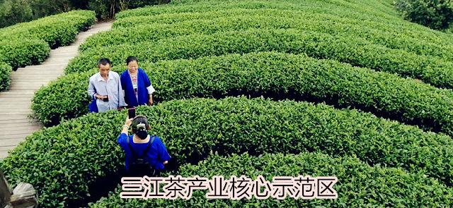 爱如潮涌真情奉献,爱如潮涌普通话版