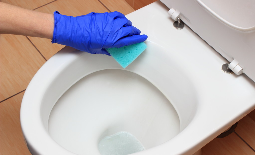 头虱和阴虱区别,头虱和阴虱用药一样吗