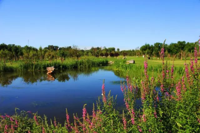 北京房山团建踏青地点推荐,北京房山春季旅游最佳去处