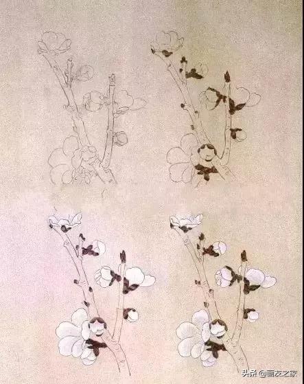 工笔梅花教学,工笔梅花设色技巧