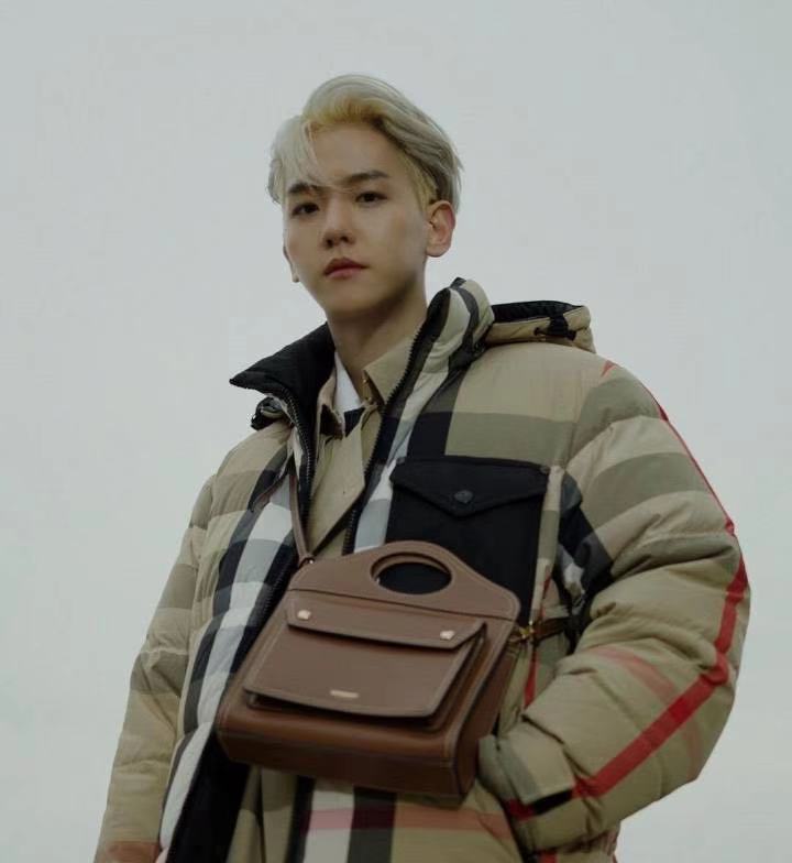 防弹伯贤,伯贤防弹少年团