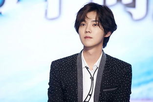 流量明星,实力明星鹿晗