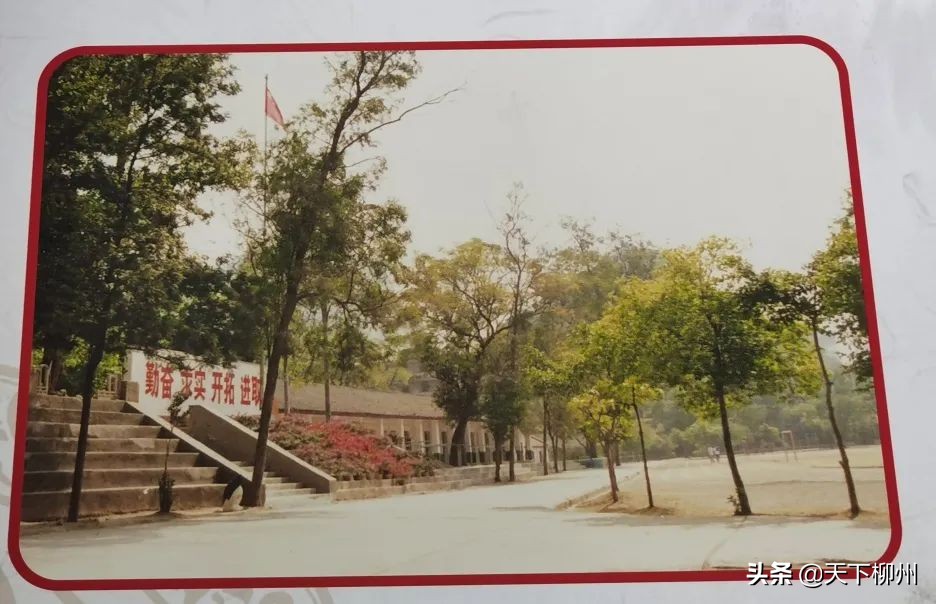 桐油山下同学情一中六载一世恩