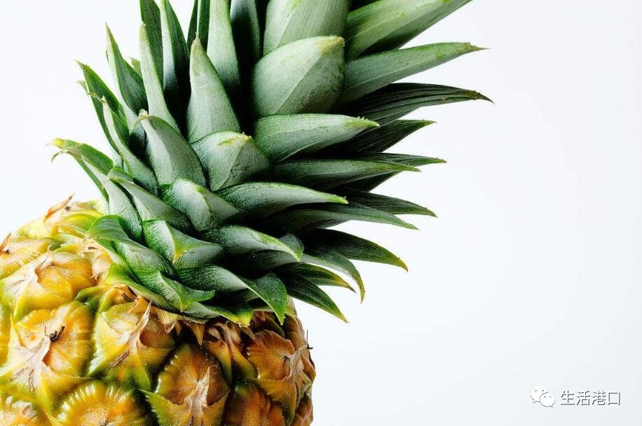 衣柜异味怎么去除最好,衣柜有味道怎么去除甲醛小妙招