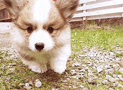 为什么吐舌,宝宝总是吐舌头什么原因