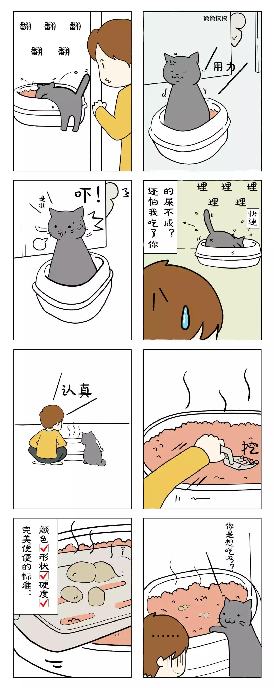 猫屎太臭事件,猫屎的来历