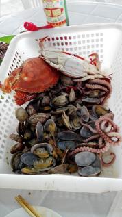 十一沿途风景,十一去红叶谷的景致