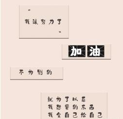 101思想政治理论考研参考书,考研政治80什么水平