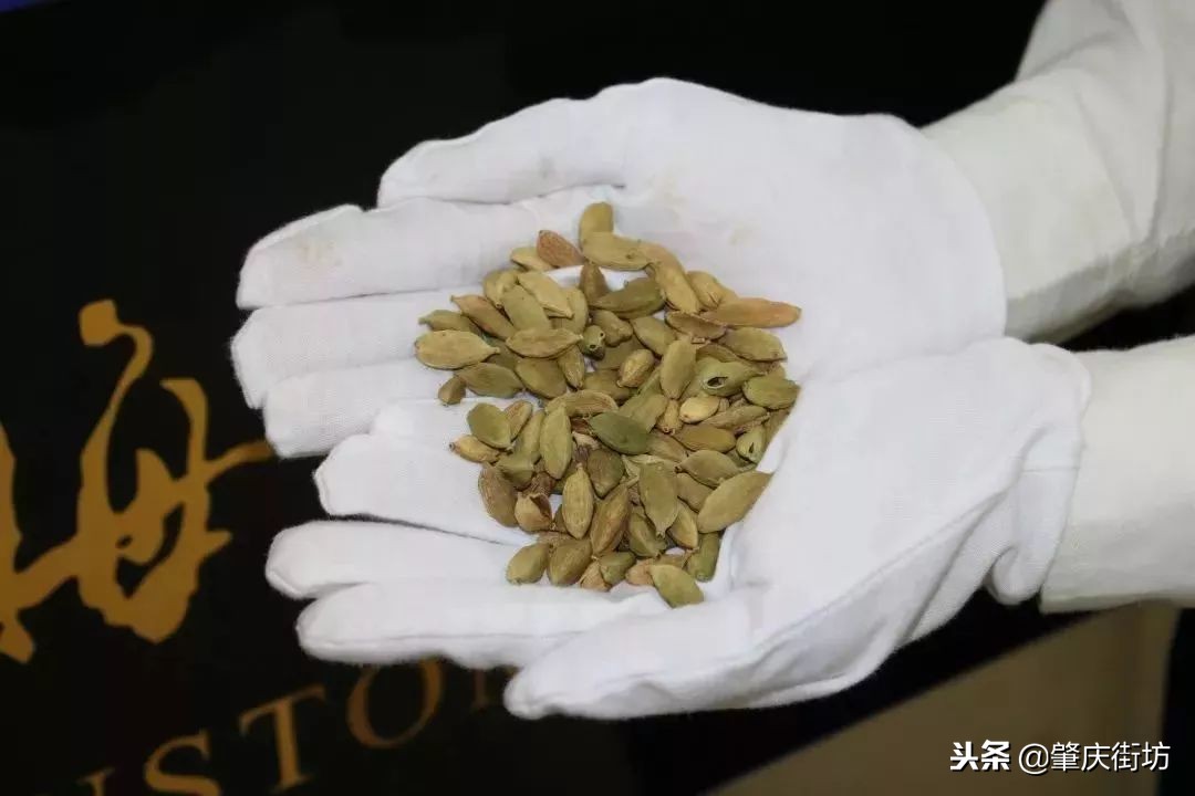 现在去港澳需要备什么生活用品,准备去港澳旅游的注意事项