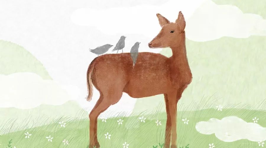 小学优秀作文分类,小学作文分类万能模板