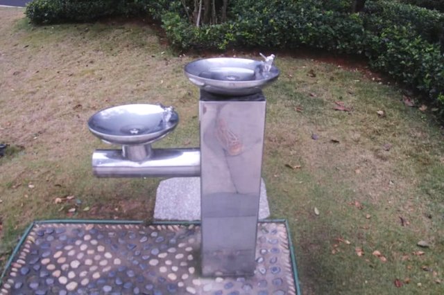 宜春碧桂园第一期交房时间,宜春碧桂园最新的情况官方消息