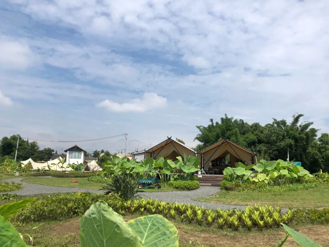 成都上央视,荣登央视cctv1