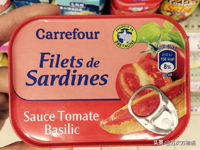 沙丁鱼的样子,真正的沙丁鱼